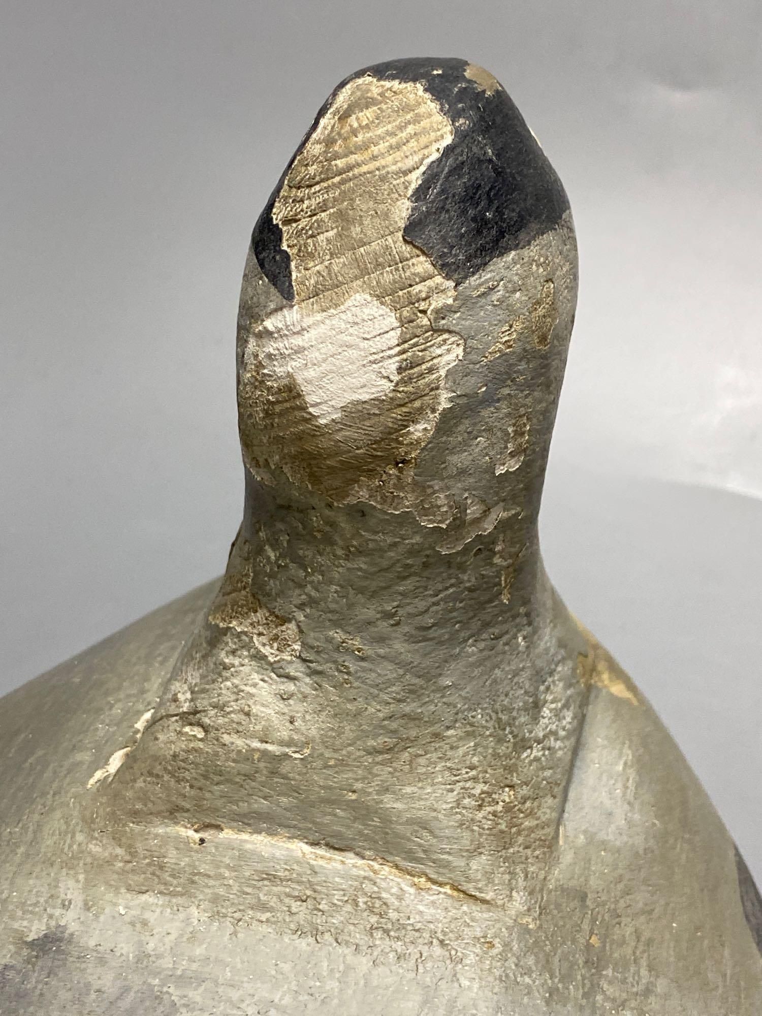 An American Eider decoy duck, length 39cm